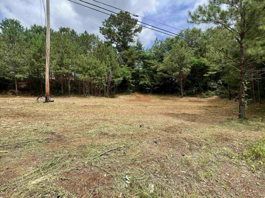 LOT 57 OLD LEE HWY # RICHMOND HILLS, TUSCUMBIA, AL 35674, photo 1 of 3