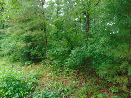 LOT 12 RIVIERA DR., CHEROKEE, AL 35616, photo 3 of 14