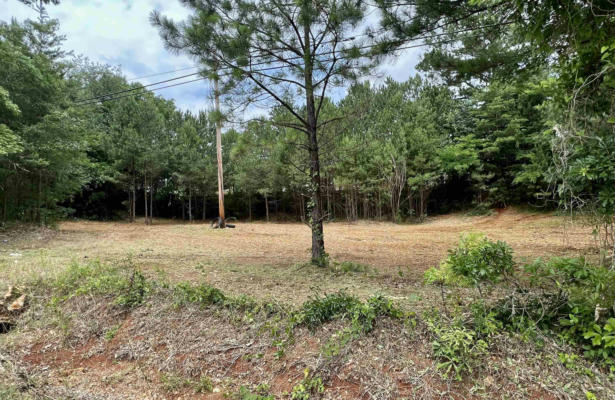 LOT 57 OLD LEE HWY # RICHMOND HILLS, TUSCUMBIA, AL 35674, photo 2 of 3